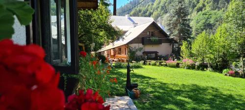 Albac House | Pensiunea Aurora Albac