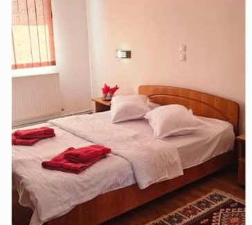 Sighetu Marmatiei House | Pensiunea Casa Popan