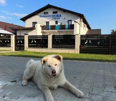 Crisan House | Pensiunea Izora