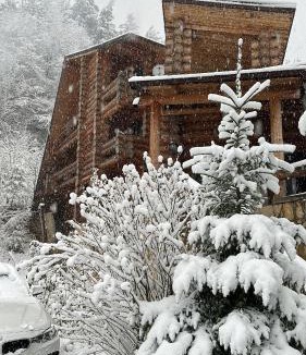 Lepsa House | Pensiunea Streiu