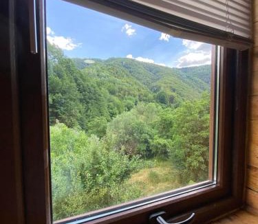 Stara Planina Apartment | Planinska Idila
