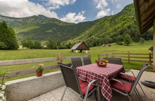 Studor Apartment | Počitniška Hiša Voje
