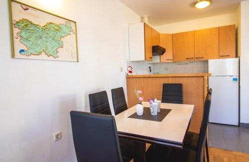 Verzej Apartment | POČITNIŠKI APARTMAJI - Extraordinary apartment in Banovci