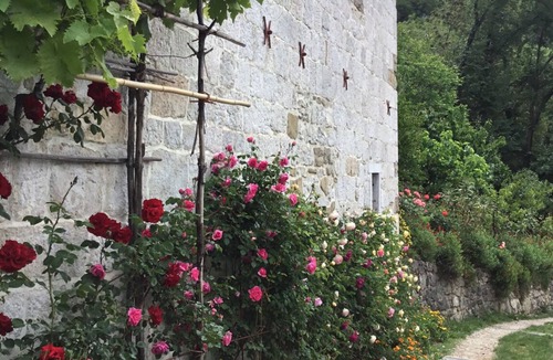 Podpec Cottage | Podpec: Country Cottage in the countryside with absolute privacy