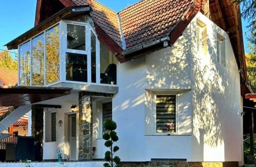 Rastolita House | Pool House Gălăoaia-Cabană la poalele Munțiilor Călimani