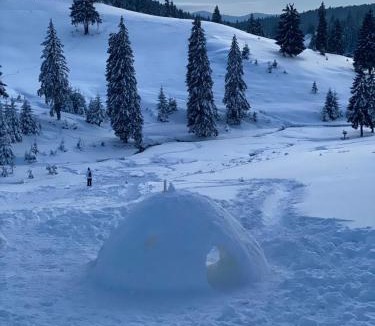 Padis House | Popas Turistic Padis
