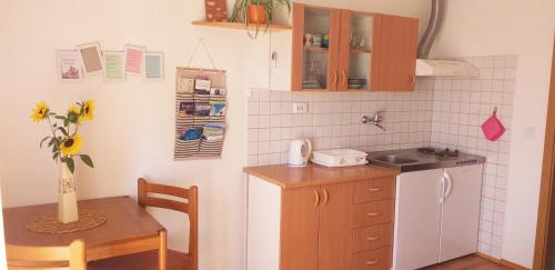 Crni Kal Apartment | Relax in Črni Kal