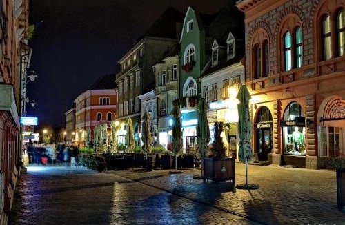 Brasov City Centre Apartment | Republicii Studio in Historic Center