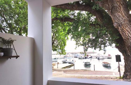 Klenovica Apartment | Riva