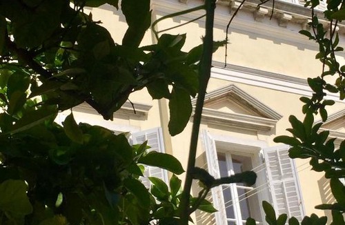 Cove Murtar House | Rooms by the sea Mali Losinj (Losinj) - 14779