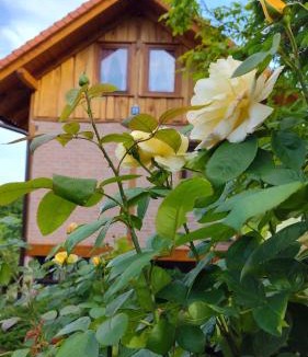 Gornja Stubica House | Ruralna kuća za odmor Brezanka, Zagrebačka ulica 21 Gornja Stubica