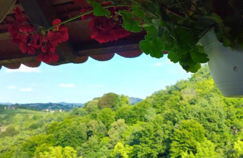 Gornja Stubica House | Ruralna kuća za odmor Brezanka, Zagrebačka ulica 21 Gornja Stubica
