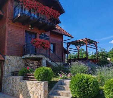 Zlatibor Villa | Rustic dream MIA