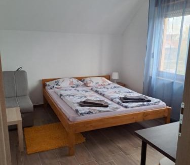 Slavonski Brod Apartment | sara1