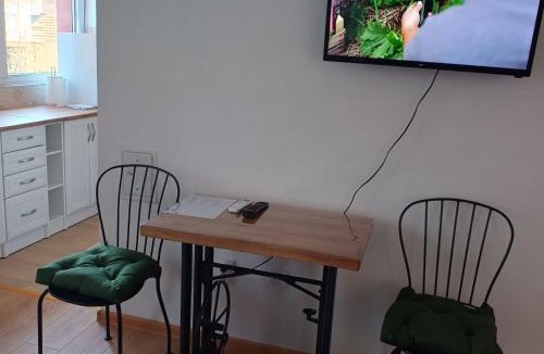Arandelovac Apartment | Sarina Garsonjera