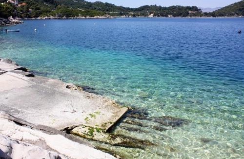 Sobra Apartment | Seaside apartments with a swimming pool Sobra, Mljet - 22926