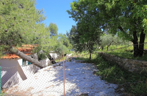 Praznica House | Secluded fisherman's cottage Cove Dučac, Brač (K-24291)