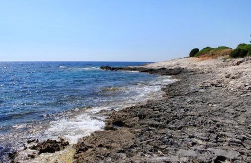 Savar House | Secluded fisherman's cottage Cove Ripisce, Dugi otok - 394