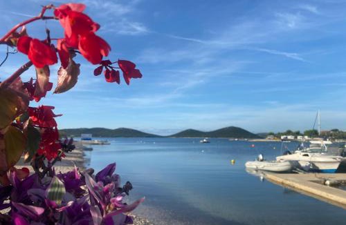 Drage House | Serenity house, cozy familly place, free parking, seaside, in Dalmacia, Drage, Kamp Maslina