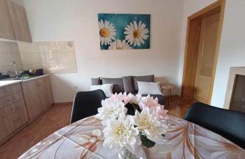 Bosanska Dubica Apartment | Stan na dan Relax