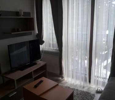 Kopaonik Apartment | Stefan apartmani
