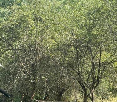 Vorta House | Stillwood Retreat-Off-Grid Nature Escape