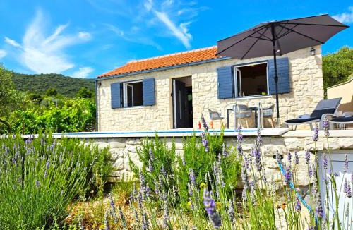 Kneza House | Stone house in vineyard