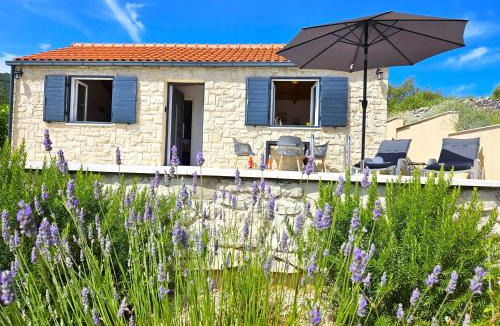 Kneza House | Stone house in vineyard