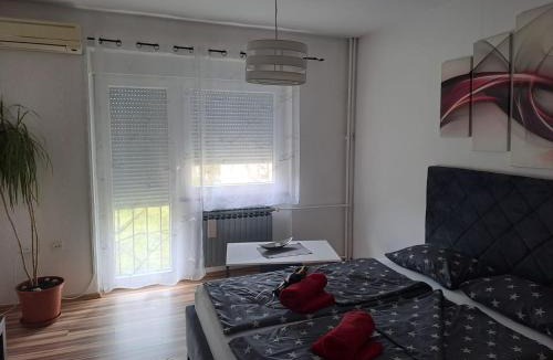 Brod-Posavina Apartment | Studio apartman BF