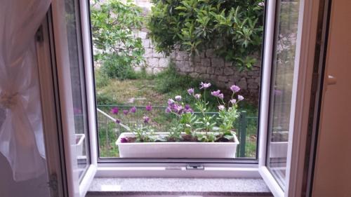 Split Apartment | Studio Apartment Kala