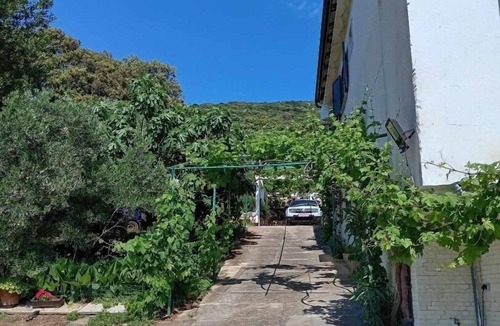 Martinscica Apartment | Studio flat near beach Martinšćica, Cres (AS-23980-b)