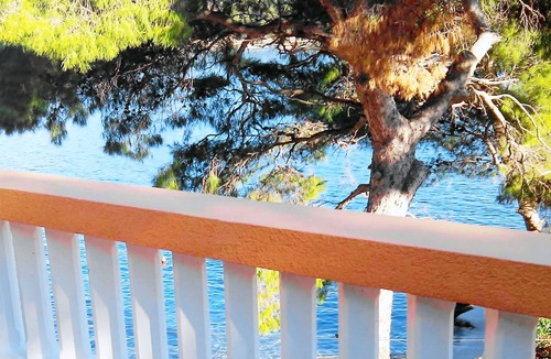 Sobra Apartment | Studio flat near beach Sobra, Mljet (AS-7531-a)