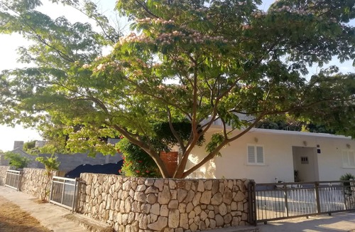 Kobas Apartment | Studio flat with terrace Cove Saplunara, Mljet (AS-4896-a)