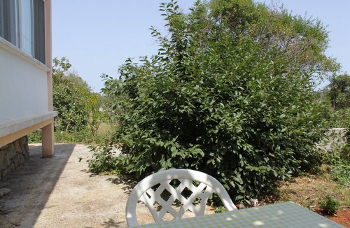 Bozava Apartment | Studio flat with terrace Božava, Dugi otok (AS-8108-b)