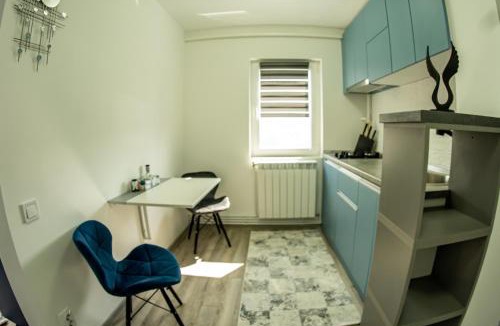 Petrila Apartment | Studio Lupul