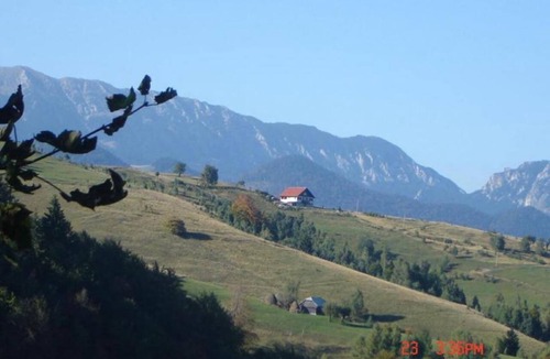 Sirnea Ski Chalet | Stunning views, cozy setting, nature, pet friendly