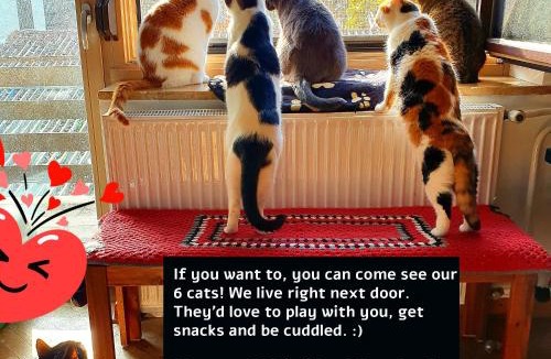 Ljubljana Apartment | That Cat Flat - free parking, near city center, cats!
