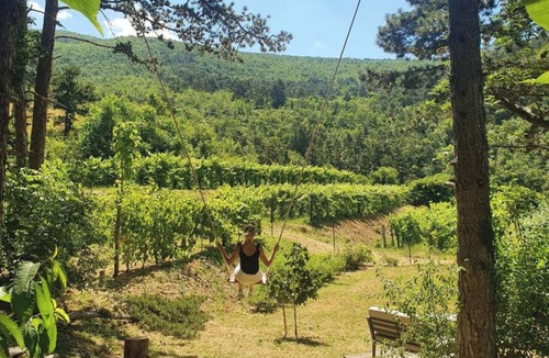 Slap House | Theodosius Glamping Private Sauna & Hot Tub, Vipava, Slovenia