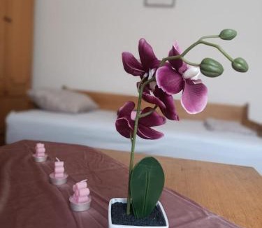 Slavonski Brod Apartment | Tin
