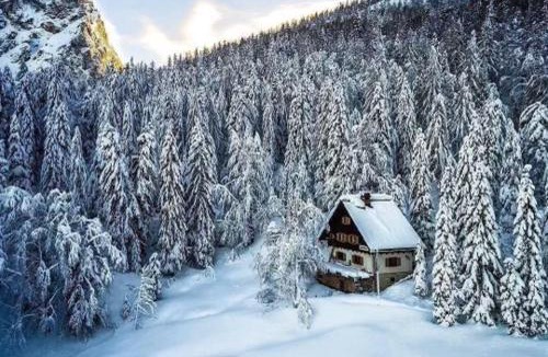 Kranjska Gora House | Tonkina koča