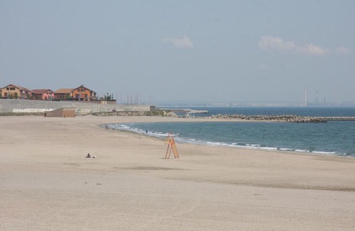 Constanta Apartment | Tourist's Delight Apartment