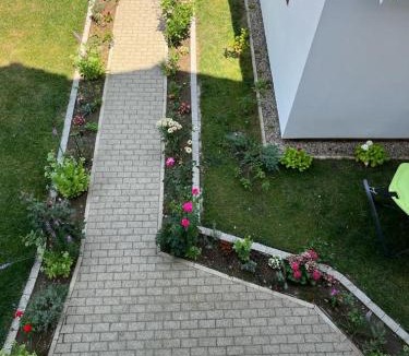 Arad Bed & Breakfast | TREND