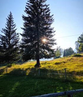 Studor House | Triglav Cottage