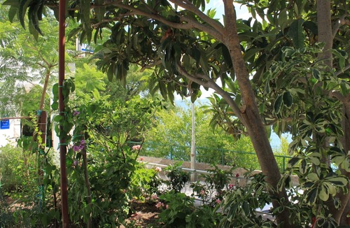 Brist Apartment | Two bedroom apartment near beach Brist, Makarska (A-505-a)