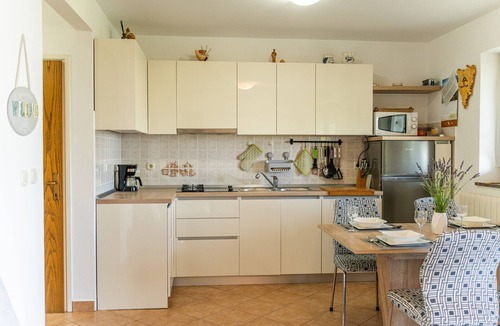 Rogocana Apartment | Two bedroom apartment with terrace and sea view Presika, Labin (A-11656-a)