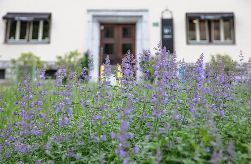Ljubljana City Centre Hotel | Urban Boutique Hotel Center