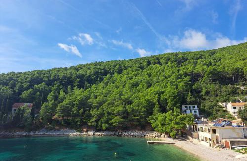 Bogomolje House | Vacation home in Pelinovik bay