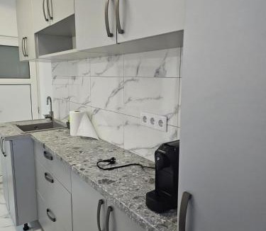 Jibert Apartment | Victoriei Lux