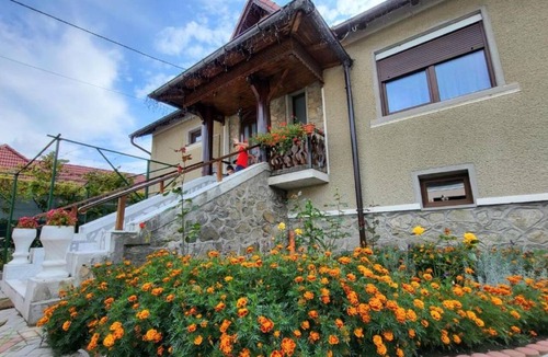 Saliste House | VILA COCA Sibiu