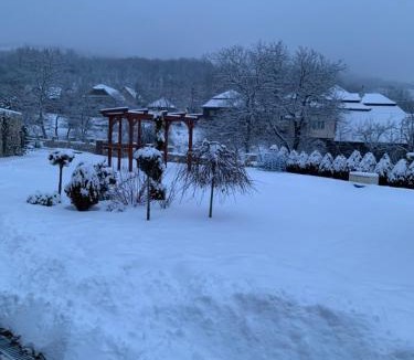 Valisoara Villa | Vila Izvoarele